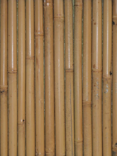 Bamboowall